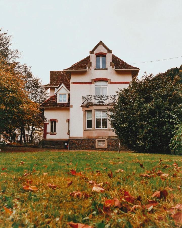 La Maison Du Markstein Linthal Екстериор снимка